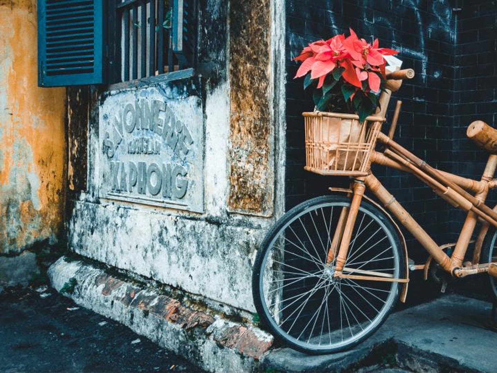 Portada de Bici Sierra