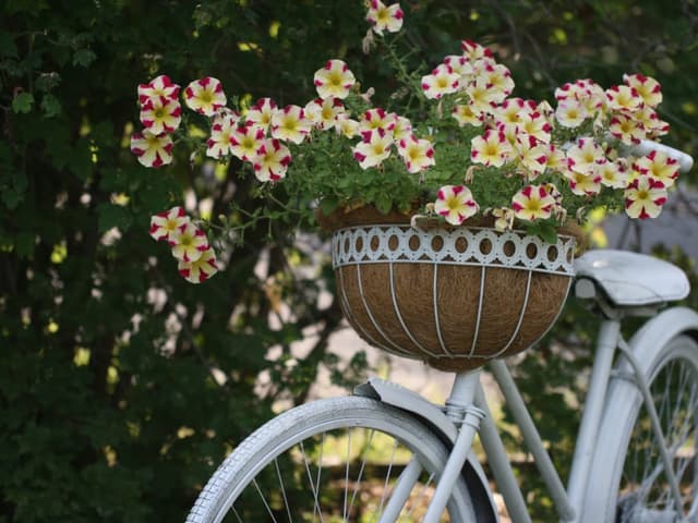 Bicicleta de paseo rodado 26