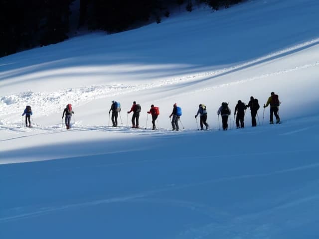 Excursión guiada a las sierras