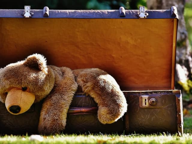 Peluche osito