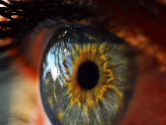 Lentes de contacto mensuales