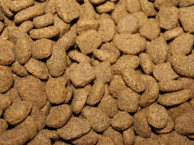 Alimento balanceado perro 15 kg
