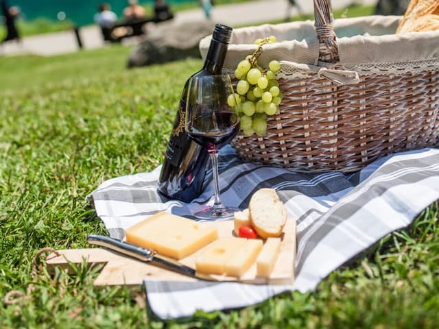 Día de campo