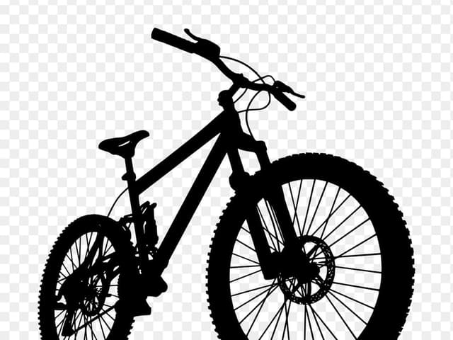 Bicicleta mountain bike rodado 29